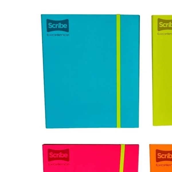 CARPETA PROF. CTA. EXCELLENCE SCRIBE 9870 RAYA 100HOHAS PZA